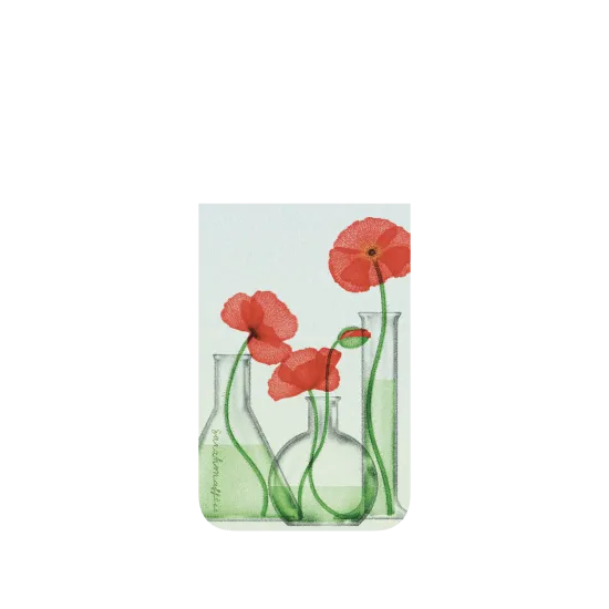 image-preview-4