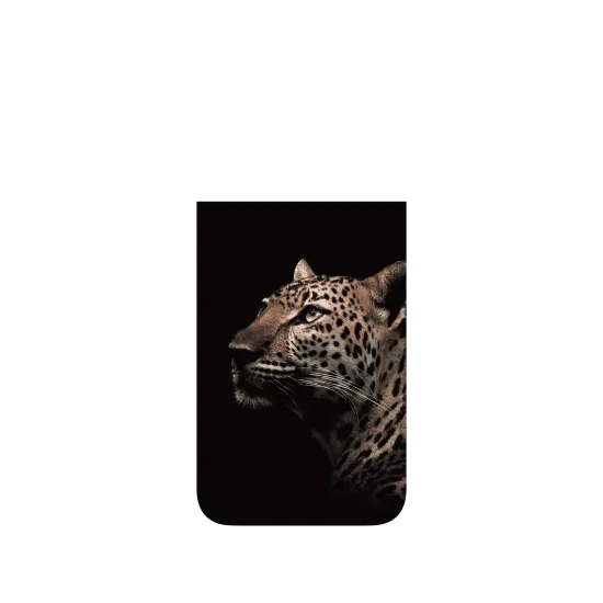 image-preview-4