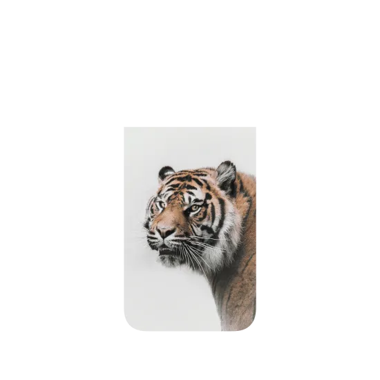 image-preview-4