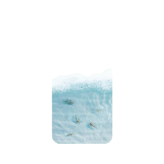 image-preview-3