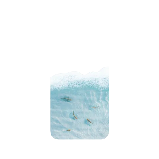 image-preview-3