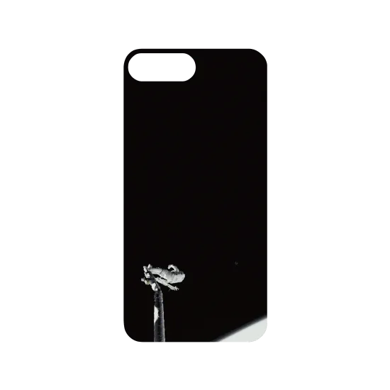 image-preview-3