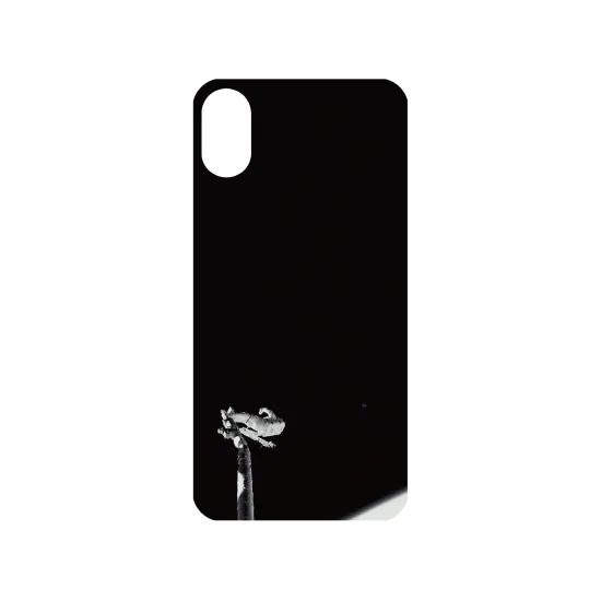 image-preview-3