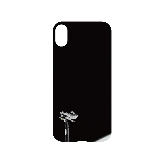 image-preview-3