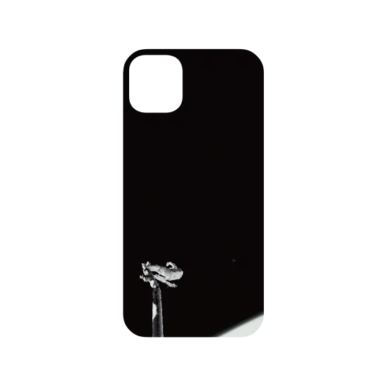 image-preview-3