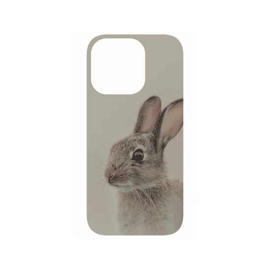 image-preview-4