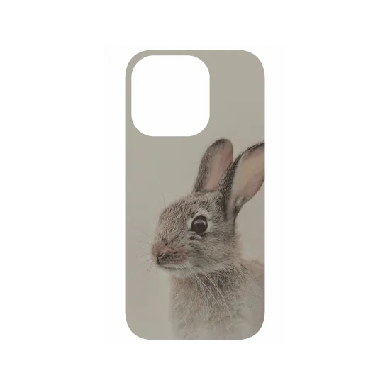 image-preview-4