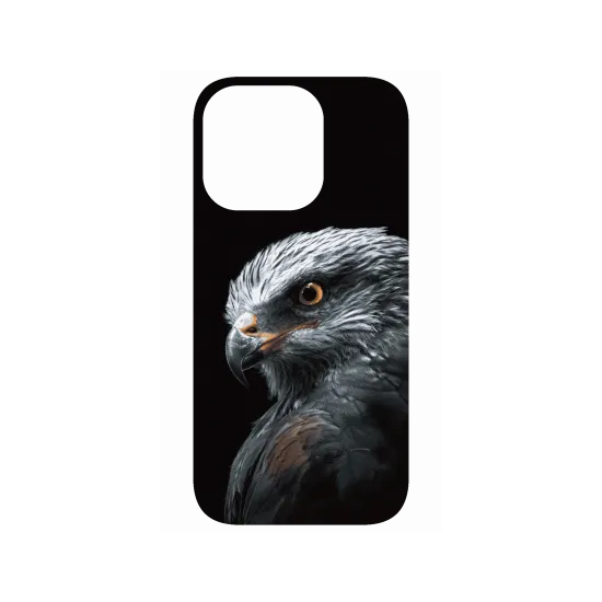 image-preview-4