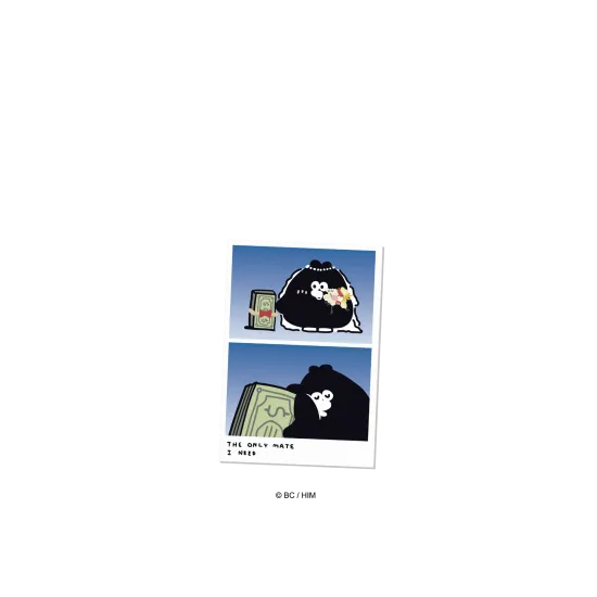 image-preview-2