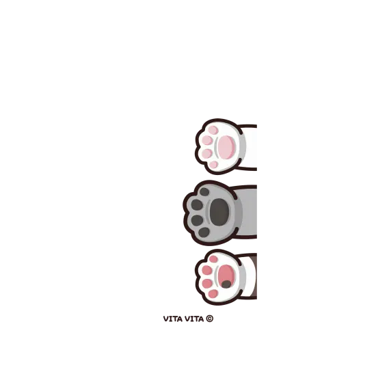 image-preview-3