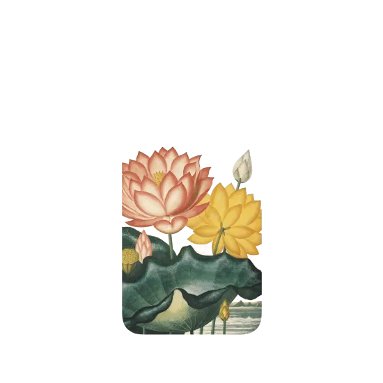 image-preview-3