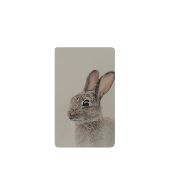 image-preview-2