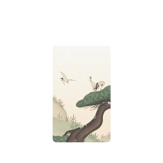 image-preview-2