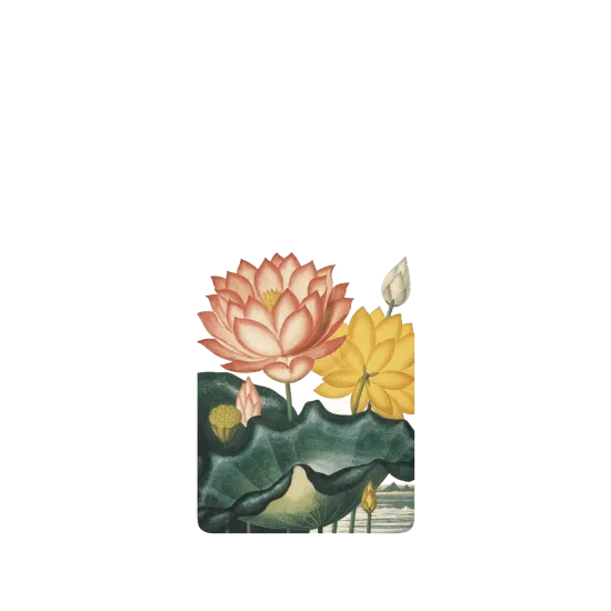 image-preview-2