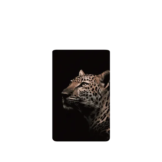 image-preview-2