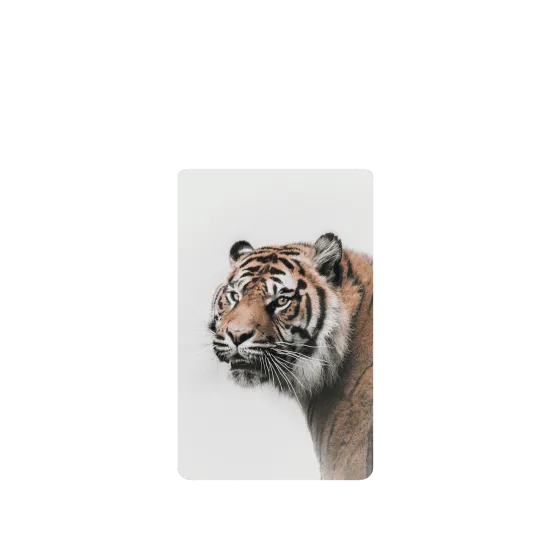 image-preview-2