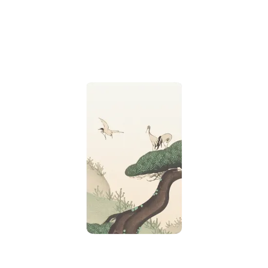 image-preview-2