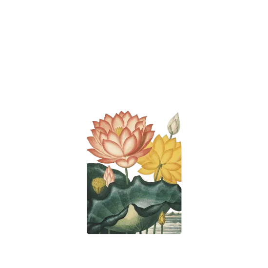 image-preview-2