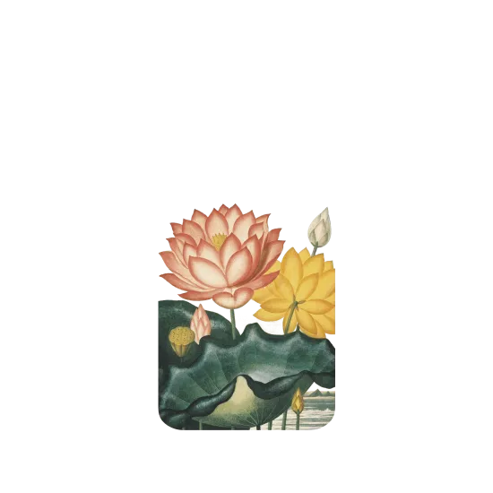 image-preview-2