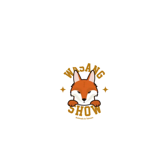 image-preview-2