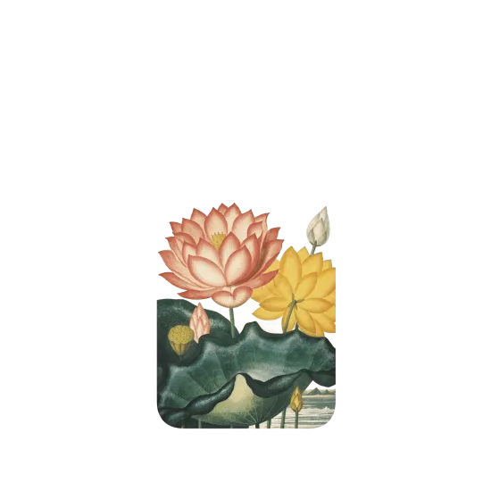 image-preview-2