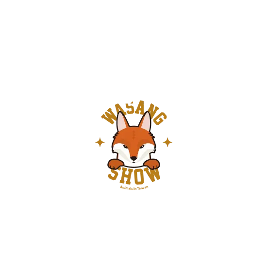 image-preview-2