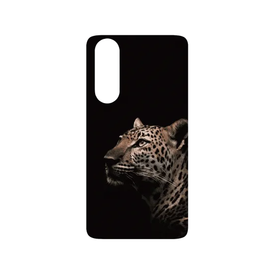 image-preview-2