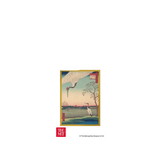 image-preview-2
