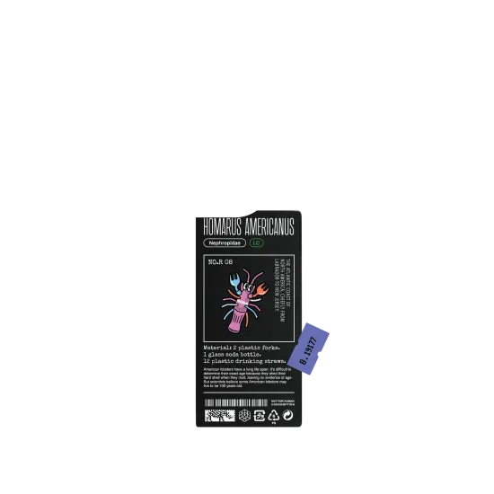image-preview-2