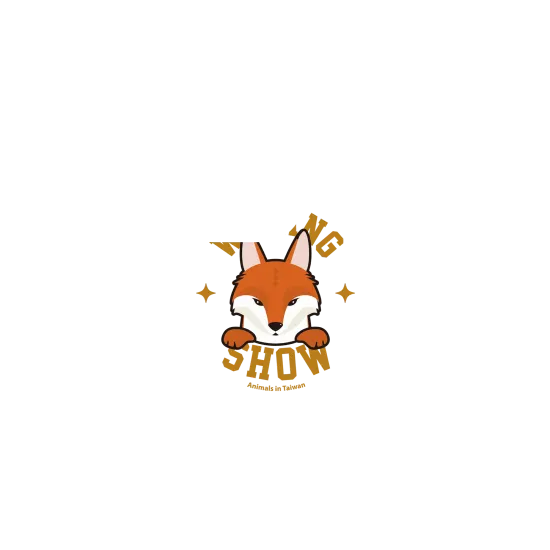 image-preview-2
