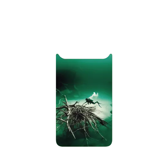 image-preview-2