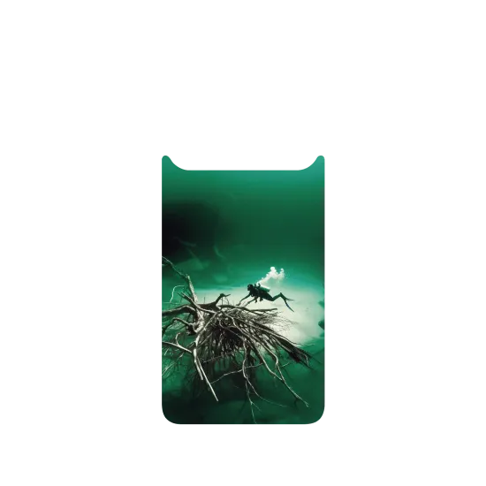 image-preview-2