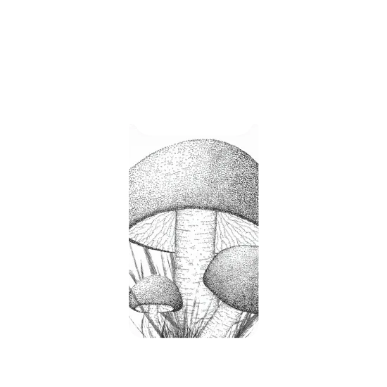 image-preview-2