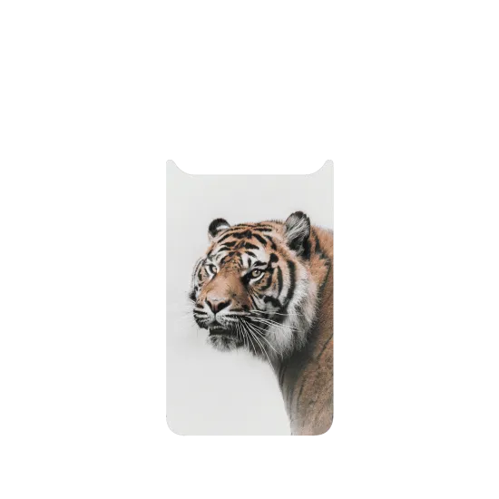 image-preview-2