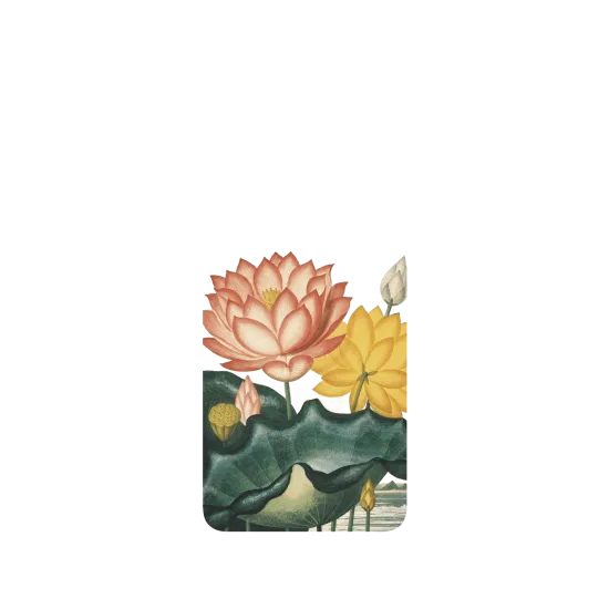 image-preview-2