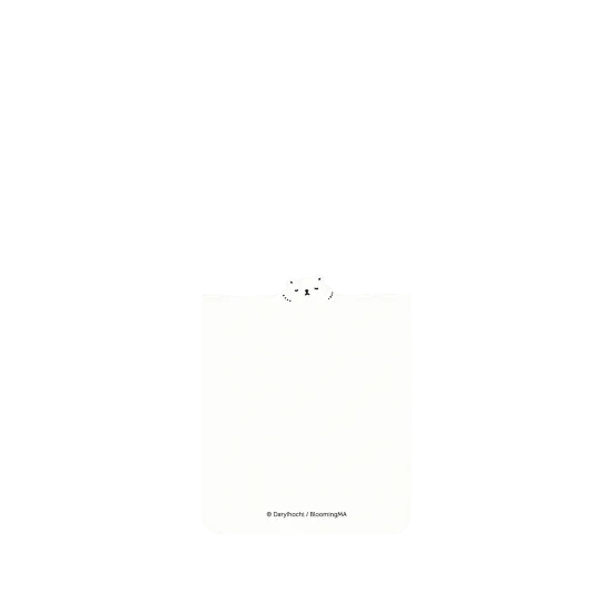 image-preview-2