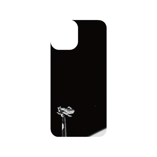 image-preview-3