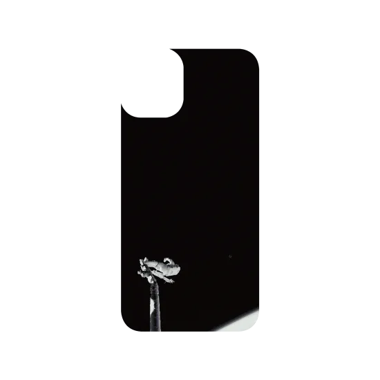 image-preview-3