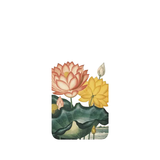 image-preview-3