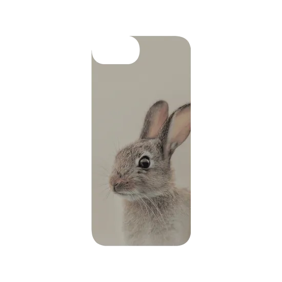 image-preview-3