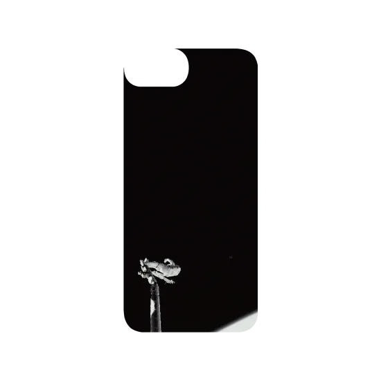 image-preview-3