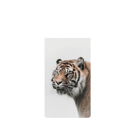 image-preview-2