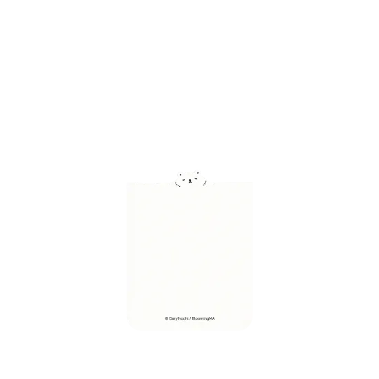 image-preview-2
