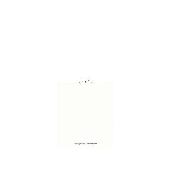 image-preview-2