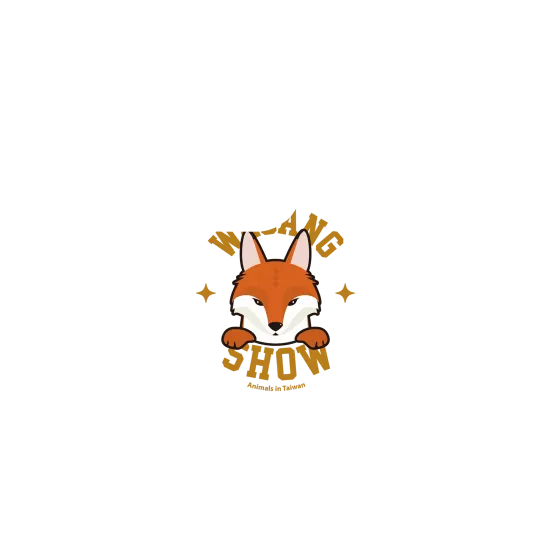 image-preview-2