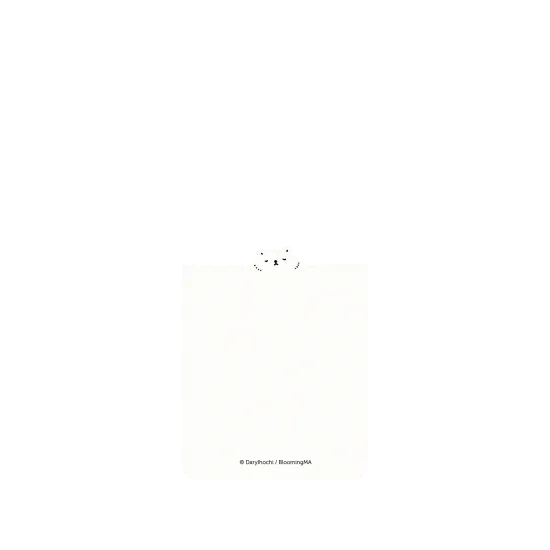 image-preview-2