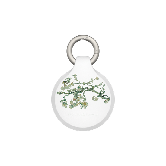 Almond Blossom - Transparent