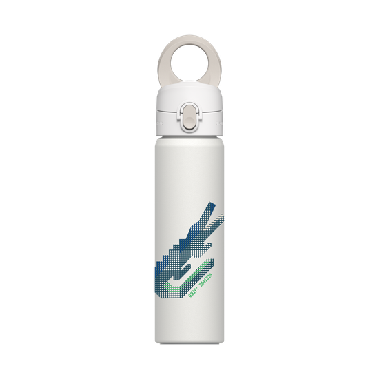 Crocodile américain