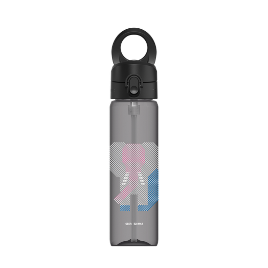 Éléphant d'Asie