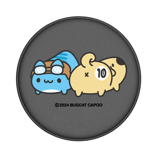 10th Capoo Friends